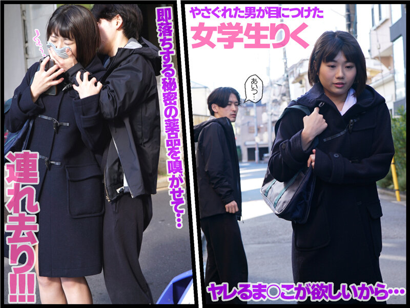 サンプル画像 3