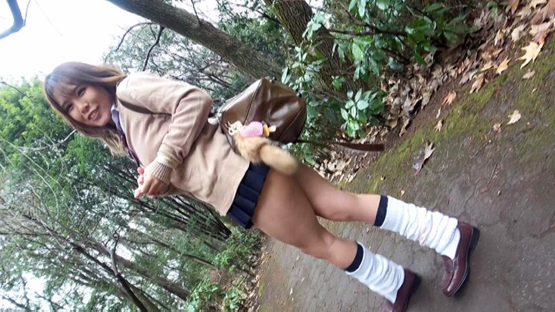 サンプル画像 8