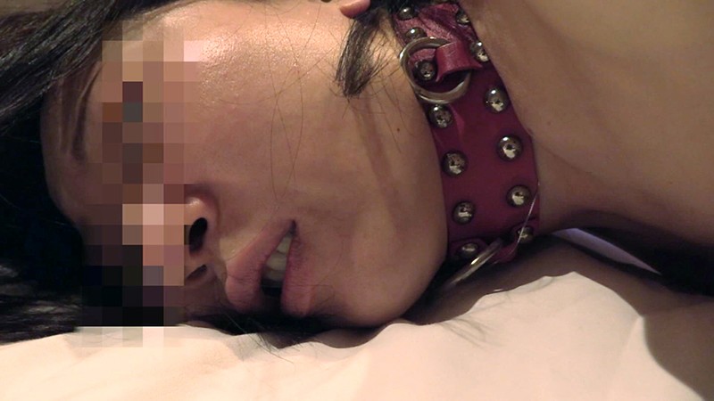 サンプル画像 11