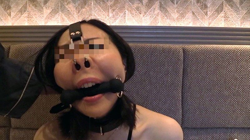 サンプル画像 13