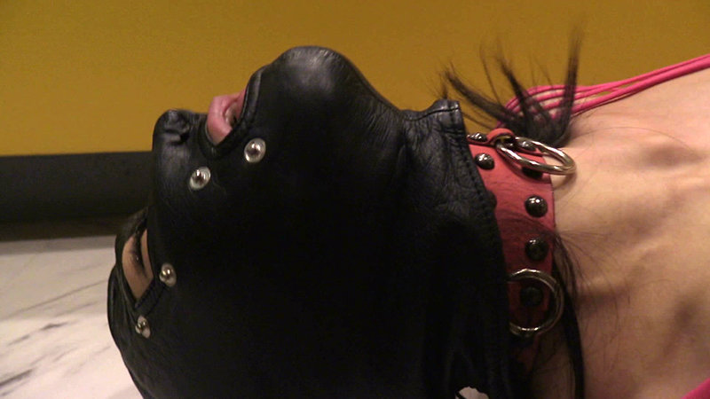 サンプル画像 5