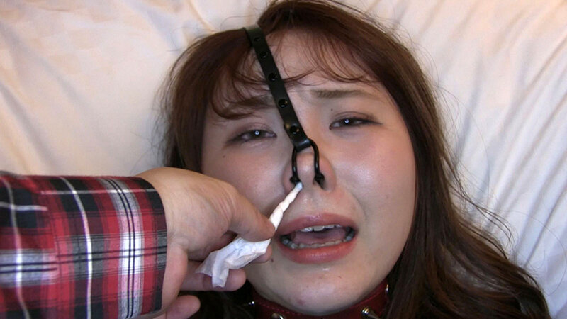 サンプル画像 11