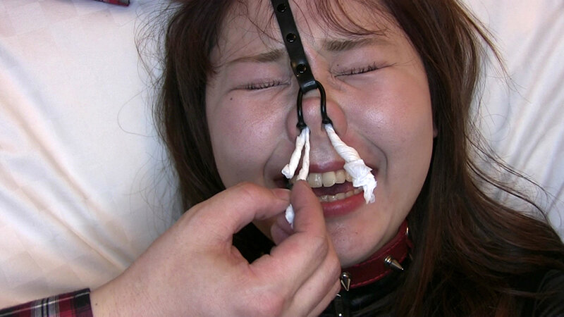 サンプル画像 12