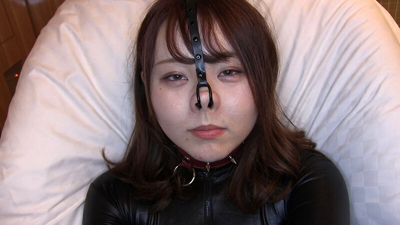 サンプル画像 8