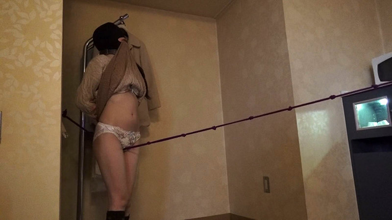 サンプル画像 5