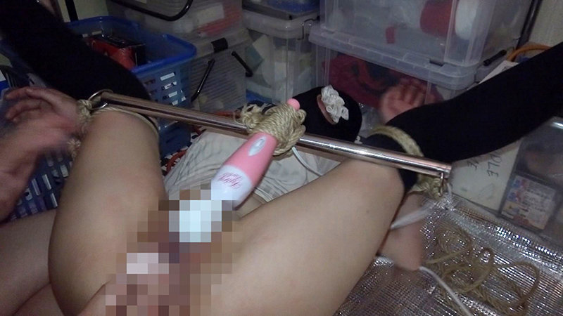 サンプル画像 5