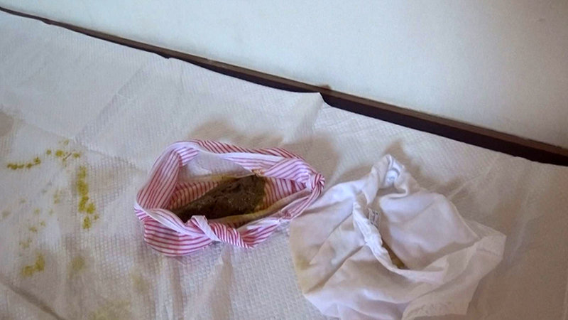 サンプル画像 12