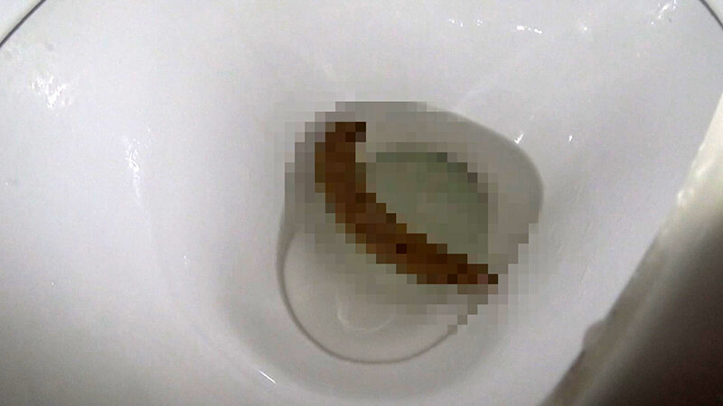 サンプル画像 8