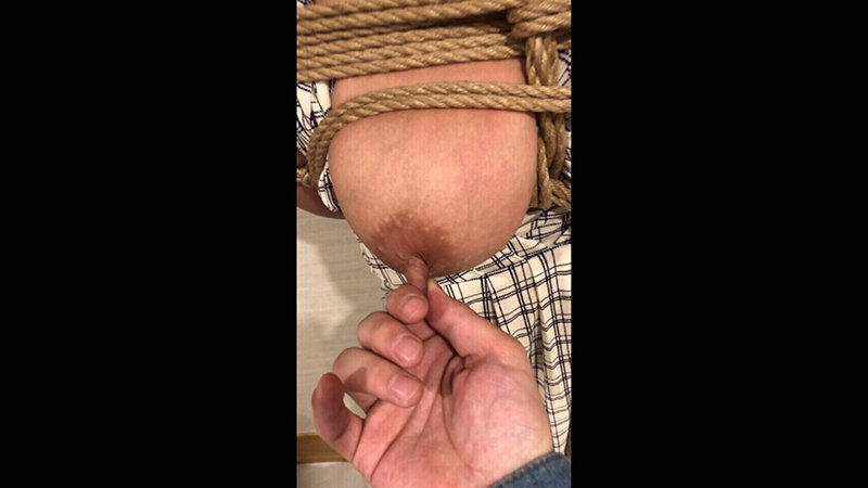 サンプル画像 17