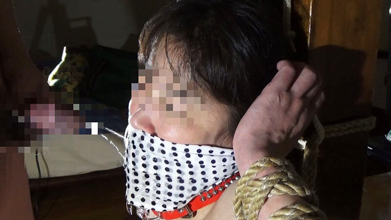 サンプル画像 8