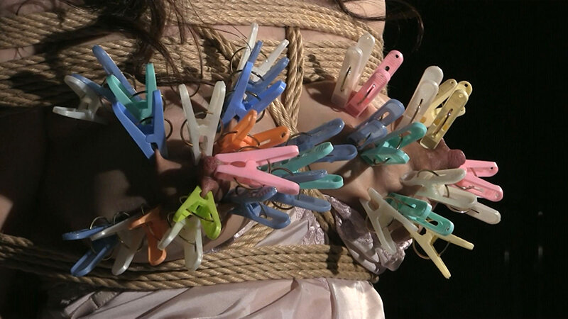 サンプル画像 15