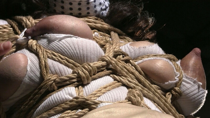 サンプル画像 5