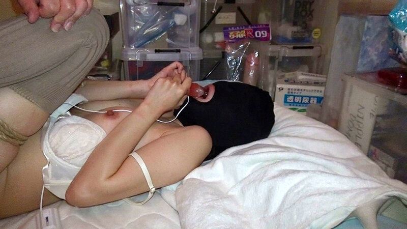 サンプル画像 19