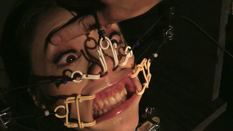 サンプル画像 3