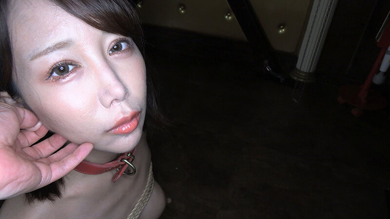 サンプル画像 17