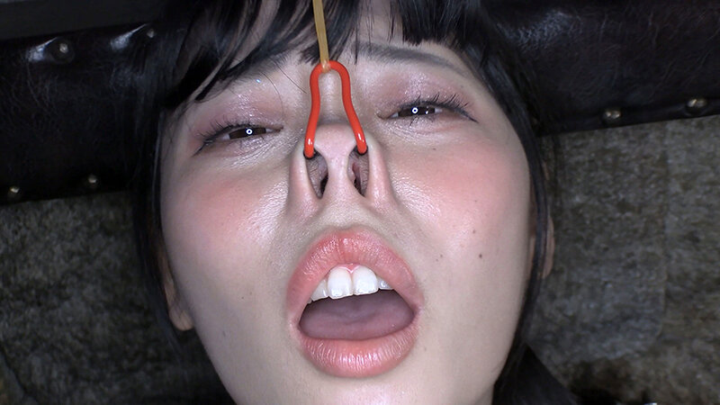 サンプル画像 14