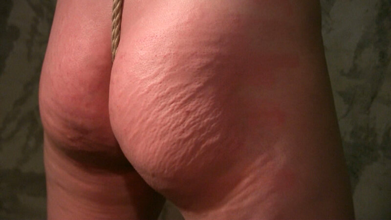 サンプル画像 11