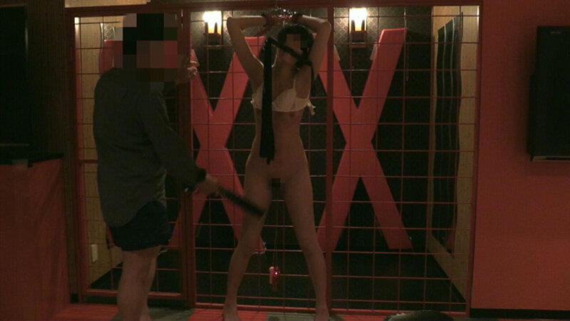 サンプル画像 16