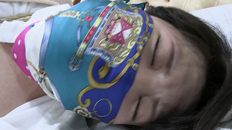 サンプル画像 14