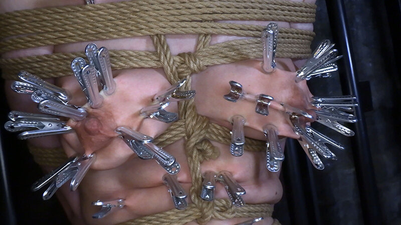 サンプル画像 4