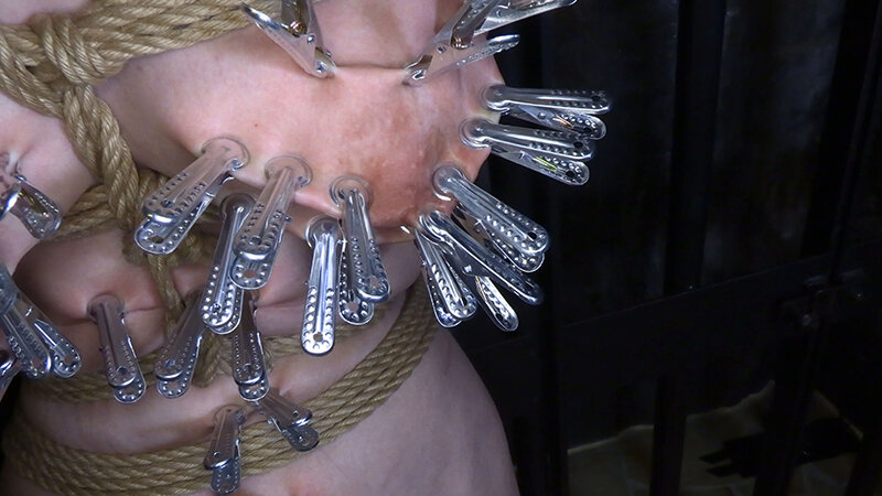 サンプル画像 5