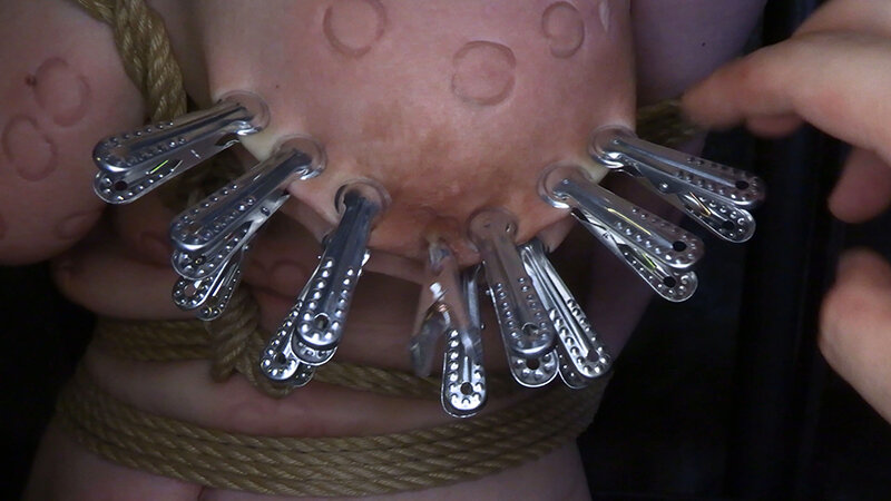 サンプル画像 8