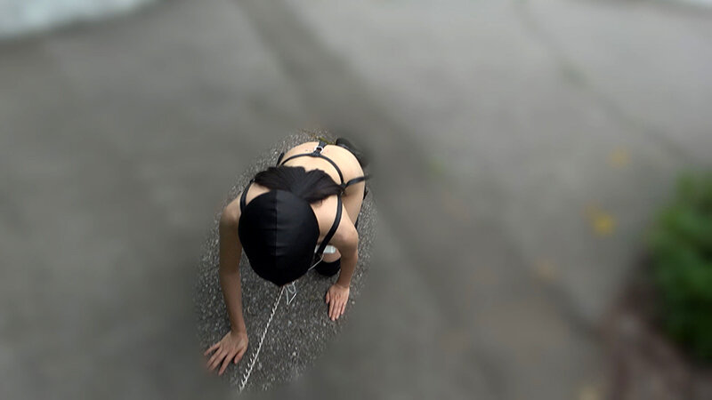 サンプル画像 12