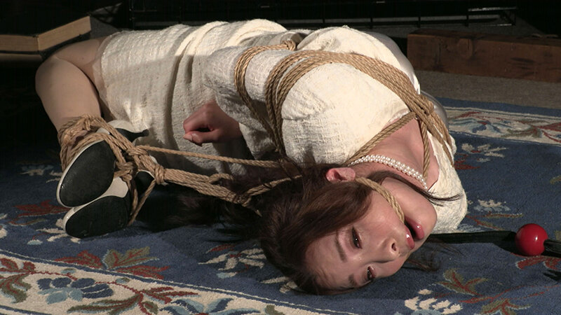 サンプル画像 4