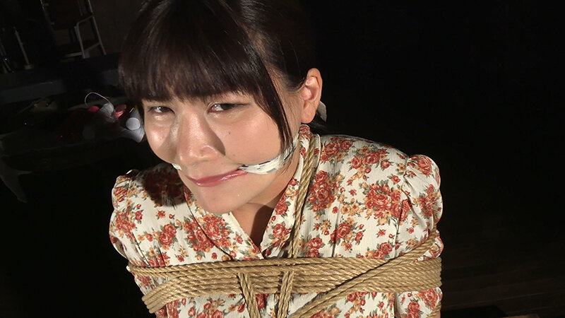 サンプル画像 4