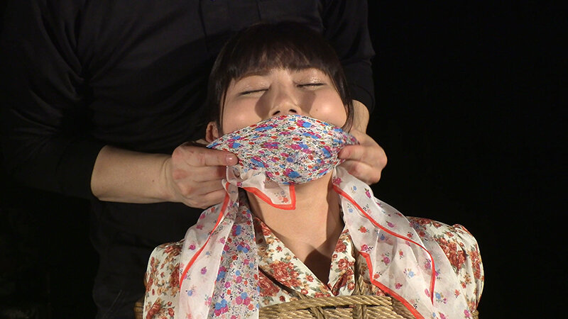 サンプル画像 5