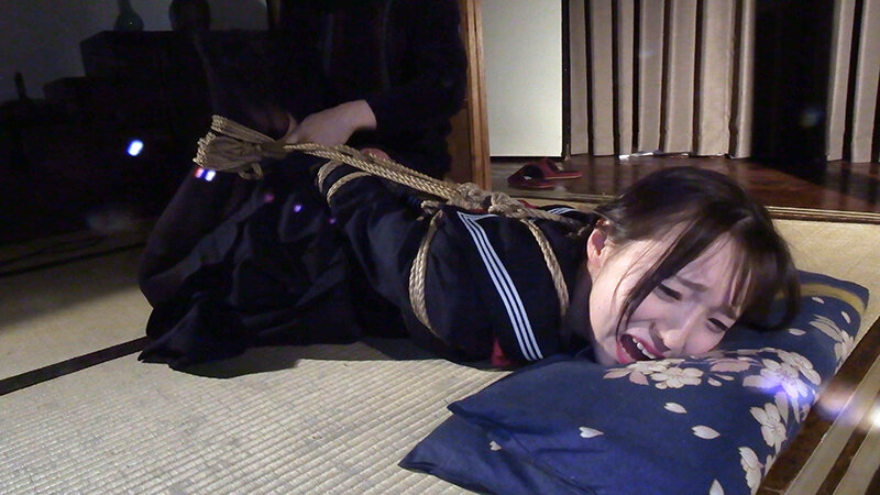 サンプル画像 15