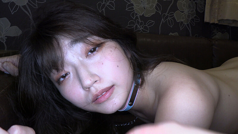 サンプル画像 8