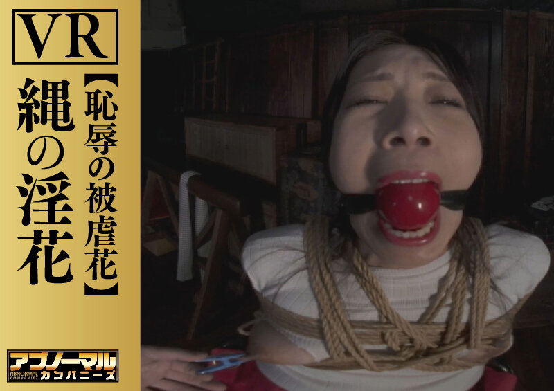 サンプル画像 8