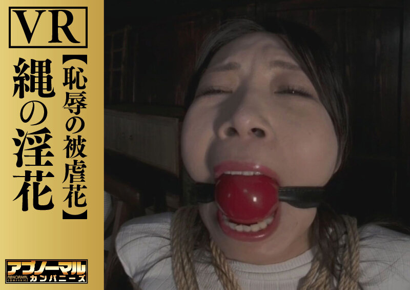 サンプル画像 9