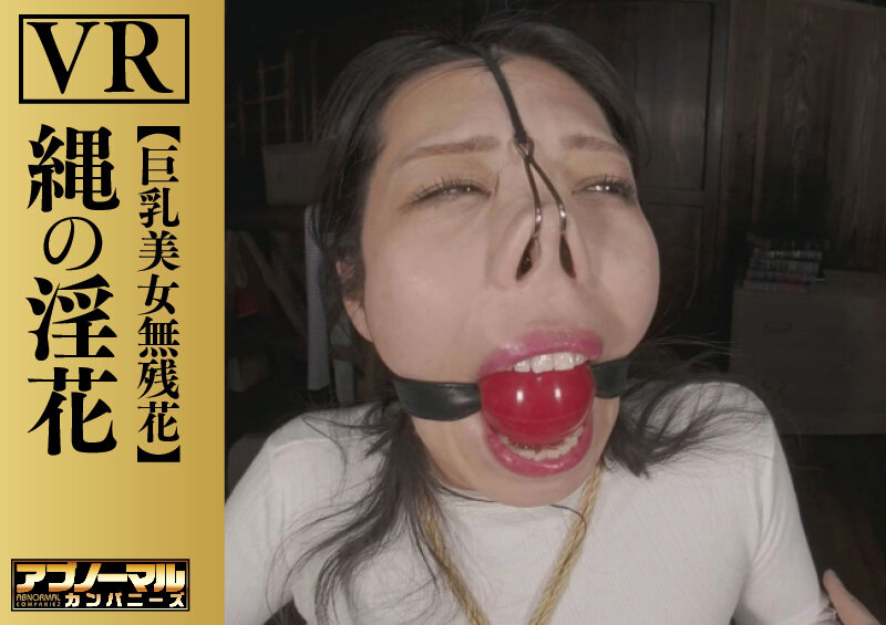 サンプル画像 9