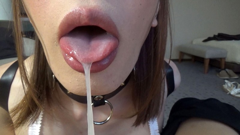 サンプル画像 14