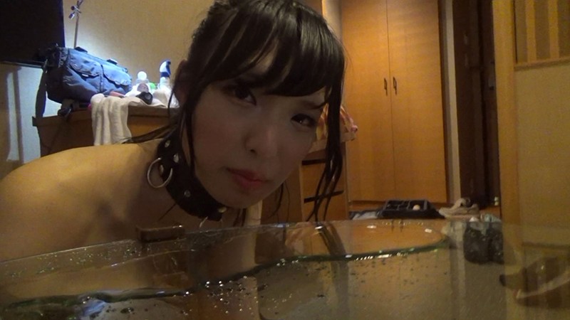 サンプル画像 16