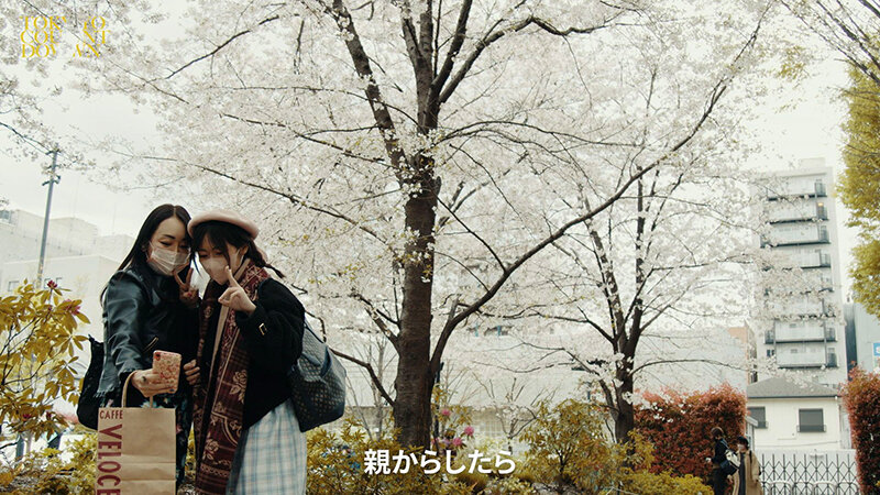 サンプル画像 13