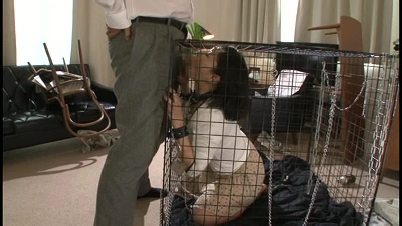 サンプル画像 8