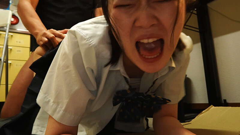 サンプル画像 11