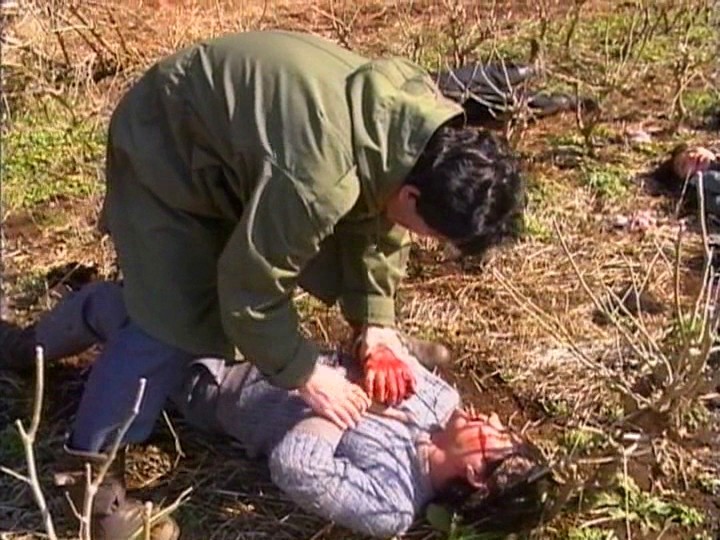 サンプル画像 9