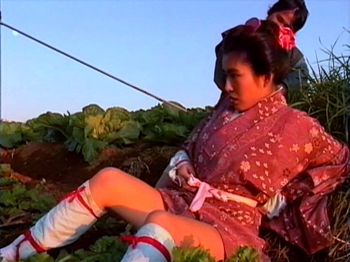 サンプル画像 12