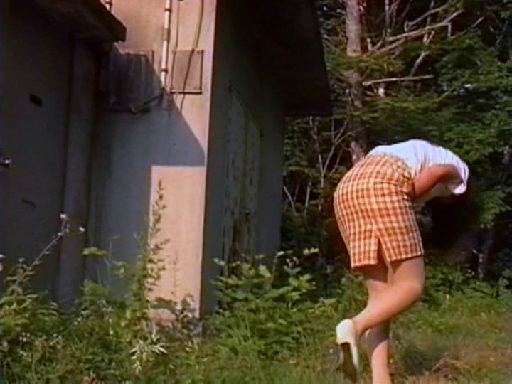 サンプル画像 10