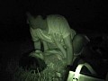 サンプル画像 11