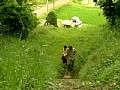 サンプル画像 9