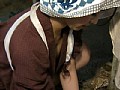 サンプル画像 38