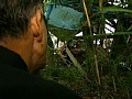 サンプル画像 17