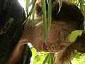 サンプル画像 21