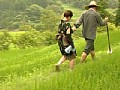 サンプル画像 34