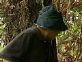 サンプル画像 40